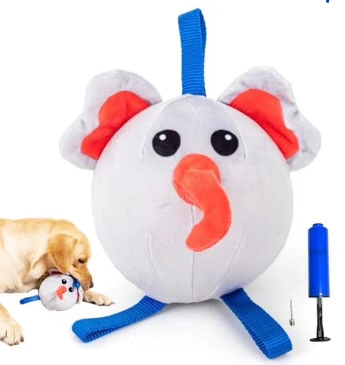 Interactive Dog Toy